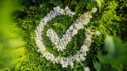3D rendering of a checkmark made from white mushrooms on green moss and ferns, symbolizing sustainability, ecological standards, and environmental harmony