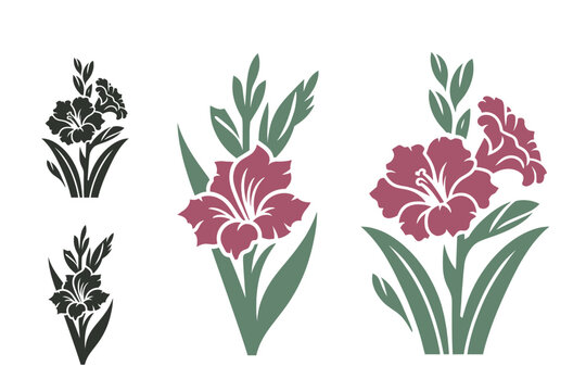 Gladiolus flower set. Vector logo, icon, symbol