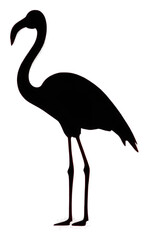 Fototapeta premium PNG Flamingo animal bird red.