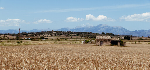 Landscape in Mallorca with cabin and mountains in distance.