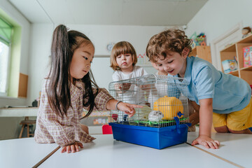 Children playing with hamster in kindergarten