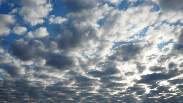 Altocumulus, middle-altitude cloud genus, stratocumuliform physical category, characterized by globular masses or rolls in layers or patches being larger and darker. Airmass instability. Timelapse
