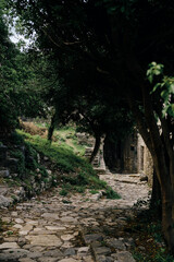 Old Bar medieval fortress. Montenegro country. A popular tourist destination. Stari Bar - ruined medieval city on Adriatic coast, Unesco World Heritage Site. A paved pedestrian street.