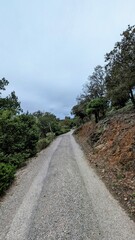 PRIEURE DE SERRABONA - BOULE-D'AMONT (Pyrénées-Orientales)