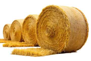 Four large round hay bales stacked in a row, isolated on a transparent background, perfect for agricultural or rural themed projects.