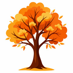Autumn tree vector illustration