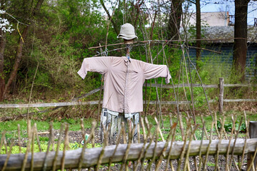 Strach na wróble stoi w ogrodzie. Strach na ptaki.  © FotoDax