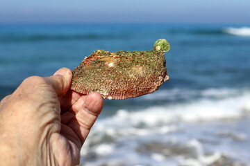 A person's hand holds objects close-up.