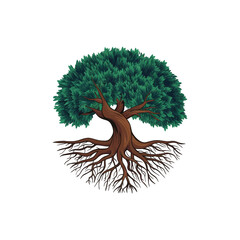 tree isolated on white background