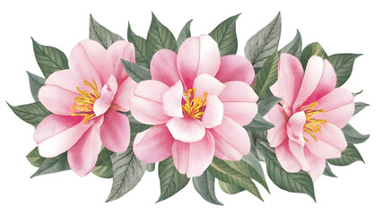 Watercolor Gardenia Blossom Vector Set Illustration on Transparent Background	