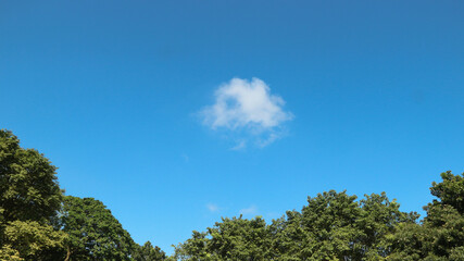 Obraz premium Aerial view of fluffy clouds and blue sky over the city