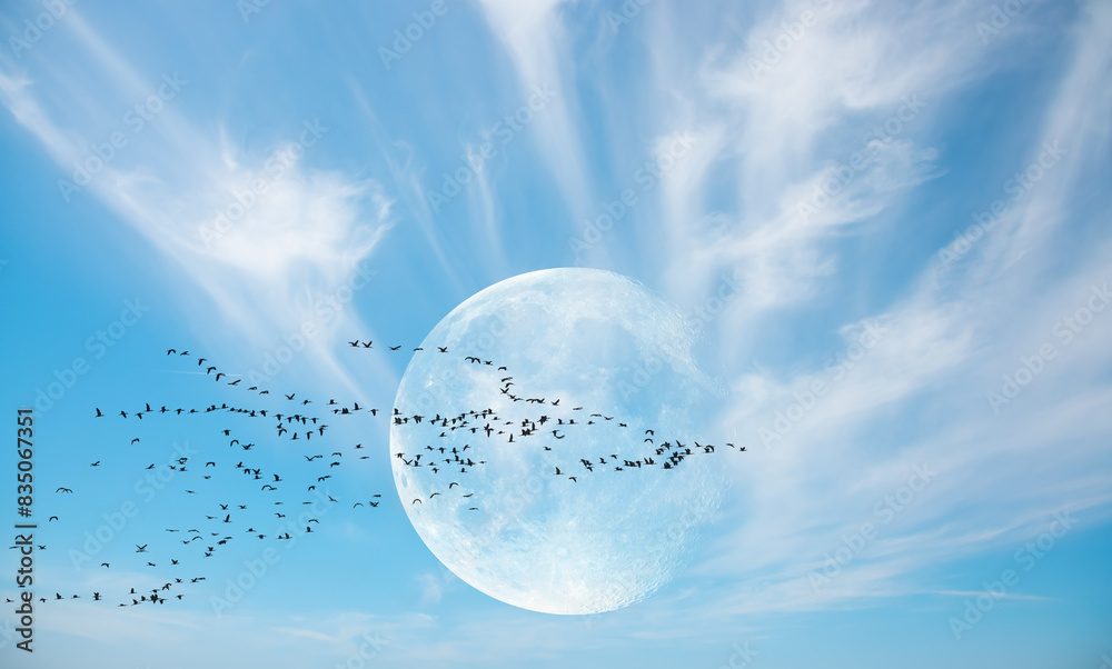 Aufkleber Silhouette of flock birds flying with full moon 