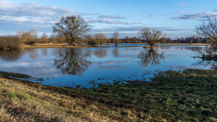 herbstliche Landschaft, Bäume und Himmel spiegeln sich im Wasser, Überschwemmungsgebiet