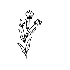 Wildflower Cliparts: Beautiful and Natural Floral Illustrations for Creative Projects