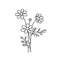 Wildflower Cliparts: Beautiful and Natural Floral Illustrations for Creative Projects