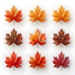 Realistic maple leaves suitable for decoration, events, or nature-themed designs.