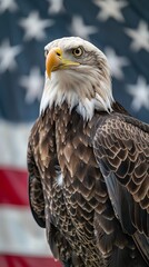 Obraz premium A majestic bald eagle perched in front of an American flag, symbolizing freedom and patriotism.