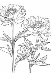 This printable coloring page features a beautiful line drawing of two peony flowers with stems and leaves. This easy coloring page is a great way to relax and unwind while expressing your creativity