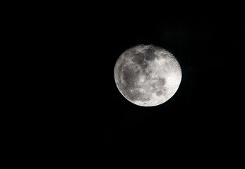 Obraz premium full moon