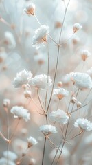 Delicate white gypsophila flowers in soft focus with pastel background