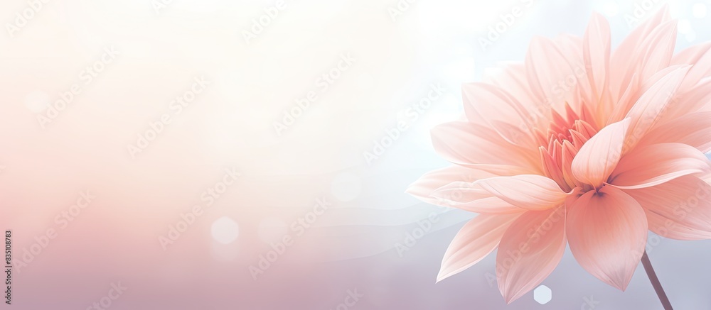 Canvas Prints soft style sweet colored flower for a background with copy space image.