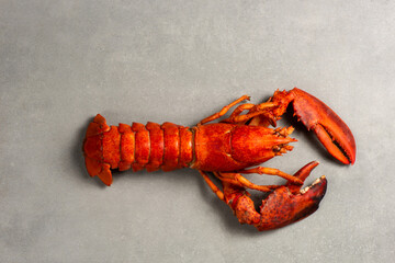 Lobster