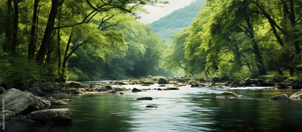Poster Scenic view of a river with a lush forest in the backdrop, ideal for a copy space image.
