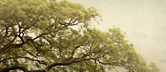 Tree's texture and structure are visible in the copy space image.