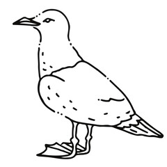 Illustration au trait noir de mouette