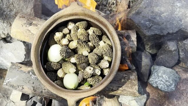 Cooking morel mushrooms with natural methods in a camping environment