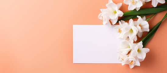 Gorgeous white narcissus flowers with a paper card on a peach background in a top view flat lay composition with copy space image.