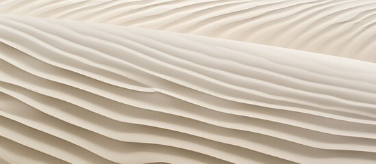 Obraz premium Zempin beach features undisturbed sand with delicate wind patterns forming grooves in the fine grains, creating a serene copy space image.