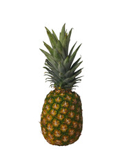 Tropical pineapple with blank cutout background