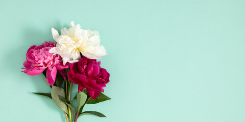 Festive floral background with peonies. Bouquet of beautiful peonies on pastel mint background....