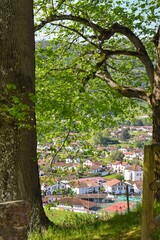 Photo de maisons à travers les arbres