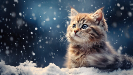 Kitten in the snow

