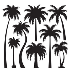 Palm Trees Vector Silhouette Collection