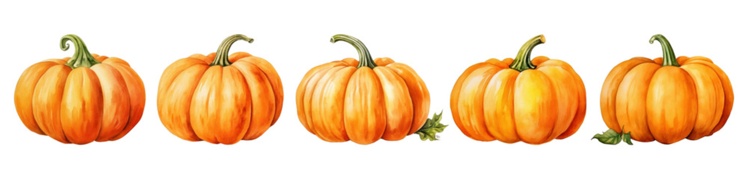 Watercolor of pumpkin png element set on transparent background
