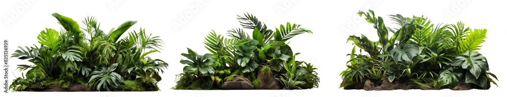 Sticker tropical plants bush png element set on transparent background