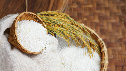 Sticky rice paddy organic natural product ,product of thailand