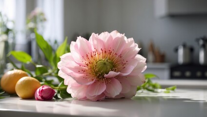 Morning Glorys Fresh Invitation A Vibrant Blossom on a Contemporary Kitchen Counter Embracing Natural Light.