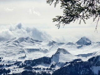 Naklejka premium snow covered mountains in winter