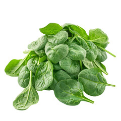 Fototapeta premium A pile of fresh, green spinach leaves isolated on a transparent background. The leaves are vibrant and healthy, ready to be used in cooking or salads.