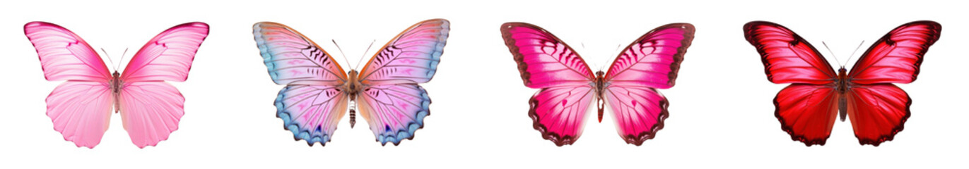 Butterfly animal set
