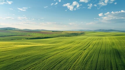 Fototapeta premium Beautiful rolling green hills under a bright blue sky with scattered clouds, showcasing a serene and expansive natural landscape.