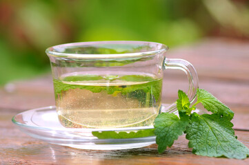 Lemon balm herbal tea in a glass cup with lemon balm leaves