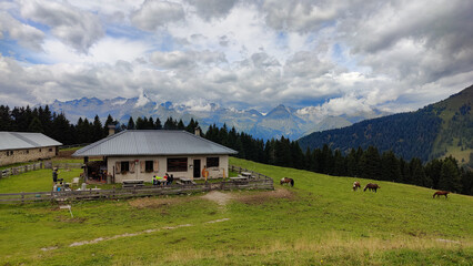 Alps Mountain ladscape of the Adamello Brenta park