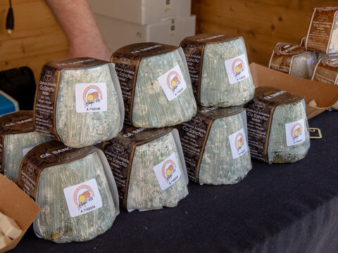 OVIEDO, SPAIN - MAY 10, 2024:  Traditional Afuega'l pitu cheese with mold on the Fair of Ascension Day in Oviedo,Asturias,Spain.