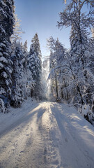 Winter snow covered hiking paths with trees and steps in the German Alps