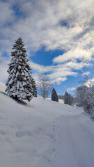 Snow covered landscape in the German Alps in cold winter